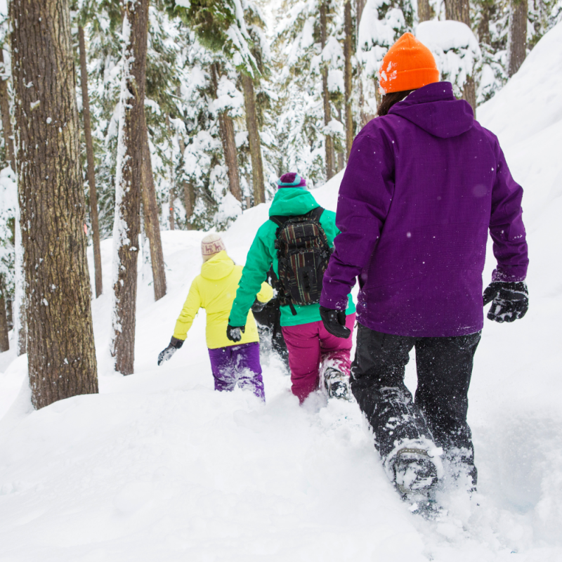 Snowshoe Hiking