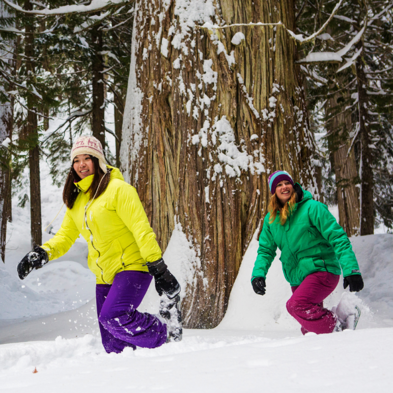 Snowshoe Hiking